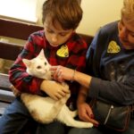 21.02.2016 Kielce. Dzień Kota w Muzeum Zabawek. / Jarosław Kubalski / Radio Kielce