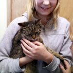 21.02.2016 Kielce. Dzień Kota w Muzeum Zabawek. / Jarosław Kubalski / Radio Kielce