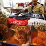 21.02.2016 Kielce. Dzień Kota w Muzeum Zabawek. / Jarosław Kubalski / Radio Kielce