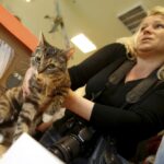 21.02.2016 Kielce. Dzień Kota w Muzeum Zabawek. / Jarosław Kubalski / Radio Kielce