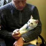 21.02.2016 Kielce. Dzień Kota w Muzeum Zabawek. / Jarosław Kubalski / Radio Kielce