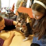 21.02.2016 Kielce. Dzień Kota w Muzeum Zabawek. / Jarosław Kubalski / Radio Kielce