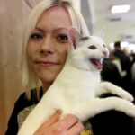 21.02.2016 Kielce. Dzień Kota w Muzeum Zabawek. / Jarosław Kubalski / Radio Kielce