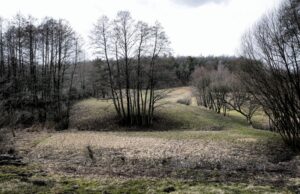 25.02.2016 Góra Chełmowa. Świętokrzyski Park Narodowy. / Jarosław Kubalski / Radio Kielce