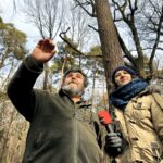 25.02.2016 Góra Chełmowa. Świętokrzyski Park Narodowy. Wycinka drzew. Lech Buchholz i Marlena Płaska. / Jarosław Kubalski / Radio Kielce