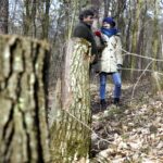 25.02.2016 Góra Chełmowa. Świętokrzyski Park Narodowy. Wycinka drzew. Lech Buchholz i Marlena Płaska. / Jarosław Kubalski / Radio Kielce