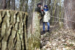 25.02.2016 Góra Chełmowa. Świętokrzyski Park Narodowy. Wycinka drzew. Lech Buchholz i Marlena Płaska. / Jarosław Kubalski / Radio Kielce