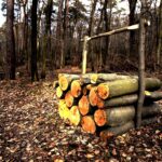 25.02.2016 Góra Chełmowa. Świętokrzyski Park Narodowy. Wycinka drzew. / Jarosław Kubalski / Radio Kielce