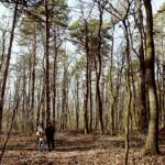 25.02.2016 Góra Chełmowa. Świętokrzyski Park Narodowy. / Jarosław Kubalski / Radio Kielce