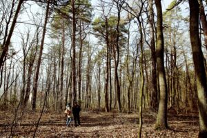 25.02.2016 Góra Chełmowa. Świętokrzyski Park Narodowy. / Jarosław Kubalski / Radio Kielce