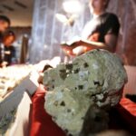 27.02.2016 Kielce. LVIII Giełda Minerałów, Skamieniałości i Wyrobów Jubilerskich. / Jarosław Kubalski / Radio Kielce