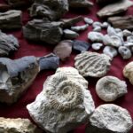 27.02.2016 Kielce. LVIII Giełda Minerałów, Skamieniałości i Wyrobów Jubilerskich. / Jarosław Kubalski / Radio Kielce