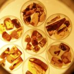 27.02.2016 Kielce. LVIII Giełda Minerałów, Skamieniałości i Wyrobów Jubilerskich. / Jarosław Kubalski / Radio Kielce