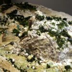 24.02.2016 Kielce. Makieta Kadzielni w Institute of Design. / Jarosław Kubalski / Radio Kielce