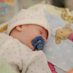 2.2.2016 Kielce. Mikołaj, Hubert i Albert, trojaczki, zostały dziś wypisane do domu. Chłopcy urodzili 30 grudnia 2015 roku. / Wojciech Habdas / Radio Kielce