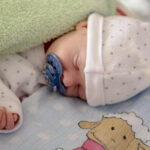 2.2.2016 Kielce. Mikołaj, Hubert i Albert, trojaczki, zostały dziś wypisane do domu. Chłopcy urodzili 30 grudnia 2015 roku. / Wojciech Habdas / Radio Kielce