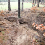 29.02.2016 Miąsowa. Blisko posesji znaleziono niewybuchy / Stanisław Blinstrub / Radio Kielce