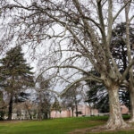 28.02.2016 Spacer po Montpellier / Robert Kusiej / Radio Kielce