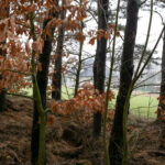 29.02.2016 Miąsowa. Blisko posesji znaleziono niewybuchy / Stanisław Blinstrub / Radio Kielce