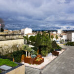 28.02.2016 Spacer po Montpellier / Robert Kusiej / Radio Kielce