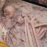 29.02.2016 Kielce. WDK. Wystawa Żołnierze Wyklęci / Stanisław Blinstrub / Radio Kielce