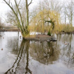 11.02.2016 Przed Meczem IFK - VTK zwiedzanie miasta. / Stanisław Blinstrub / Radio Kielce