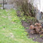 11.02.2016 Przed Meczem IFK - VTK zwiedzanie miasta. / Stanisław Blinstrub / Radio Kielce