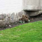 11.02.2016 Przed Meczem IFK - VTK zwiedzanie miasta. Wiosna w lutym / Stanisław Blinstrub / Radio Kielce