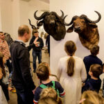 6.2.2016 Kielce. W Muzeum Narodowym przy ul. Orlej odbyły się warsztaty plastyczne dla dzieci. / Wojciech Habdas / Radio Kielce