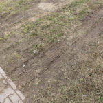 9.2.2016 Kielce. Rozjeżdżony trawnik przy Skateparku na Kadzielni. / Wojciech Habdas / Radio Kielce