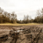 9.2.2016 Kielce. Rozjeżdżony trawnik przy Skateparku na Kadzielni. / Wojciech Habdas / Radio Kielce