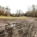 9.2.2016 Kielce. Rozjeżdżony trawnik przy Skateparku na Kadzielni. / Wojciech Habdas / Radio Kielce