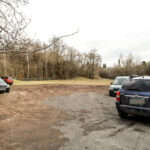 9.2.2016 Kielce. Rozjeżdżony trawnik przy Skateparku na Kadzielni. / Wojciech Habdas / Radio Kielce