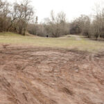 9.2.2016 Kielce. Rozjeżdżony trawnik przy Skateparku na Kadzielni. / Wojciech Habdas / Radio Kielce