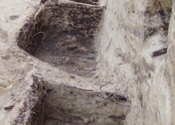 Jędrzejów. Przy ul. Brzeźnica odkryto cztery zbiorowe mogiły. Znajduje się w nich 16 szkieletów osób powyżej 30 roku życia.