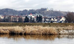 29.01.2016 Pińczów. Widok na miasto od strony Nidy. / Jarosław Kubalski / Radio Kielce