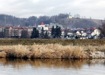 29.01.2016 Pińczów. Widok na miasto od strony Nidy. / Jarosław Kubalski / Radio Kielce