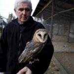 29.02.2016 Ostrów. Ptasi Azyl. Janusz Wróblewski i sowa płomykówka. / Jarosław Kubalski / Radio Kielce