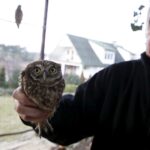 29.02.2016 Ostrów. Ptasi Azyl. / Jarosław Kubalski / Radio Kielce