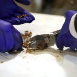 02.03.2016 Jędrzejów. Msza święta podczas której otwarto główny relikwiarz ze szczątkami bł. Wincentego Kadłubka celem pobrania kolejnych cząstek do relikwiarzy, które zostaną przekazane do różnych parafii. / Jarosław Kubalski / Radio Kielce