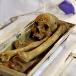 02.03.2016 Jędrzejów. Msza święta podczas której otwarto główny relikwiarz ze szczątkami bł. Wincentego Kadłubka celem pobrania kolejnych cząstek do relikwiarzy, które zostaną przekazane do różnych parafii. / Jarosław Kubalski / Radio Kielce