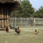 28.03.2016 Tokarnia. Muzeum Wsi Kieleckiej. Turyści spacerują po skansenie w Poniedziałek Wielkanocny / Jarosław Kubalski / Radio Kielce