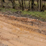 3.3.2016 Kielce. Ul. Masłowska / Wojciech Habdas / Radio Kielce