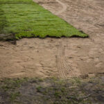 4.3.2016 Kielce. Trwa wymiana murawy na Kolporter Arenie / Wojciech Habdas / Radio Kielce