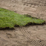 4.3.2016 Kielce. Trwa wymiana murawy na Kolporter Arenie / Wojciech Habdas / Radio Kielce