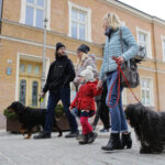 5.3.2016 Kielce. Manifa / Wojciech Habdas / Radio Kielce