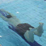 5.3.2016 Kielce. Akcja „Płynę po zdrowie” / Wojciech Habdas / Radio Kielce