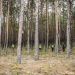 6.3.2016 Bilcza. Pędzenia próbne i liczenie bezpośrednie w leśnictwie w Bilczy. / Wojciech Habdas / Radio Kielce