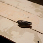 11.3.2016 Kielce. Wystawa prac Katarzyny Hendzlik Hommage a L2, w Bibliotece UJK. / Wojciech Habdas / Radio Kielce