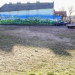 16.3.2016 Kielce. Rozjeżdżony trawnik przy Skateparku na Kadzielni. / Wojciech Habdas / Radio Kielce